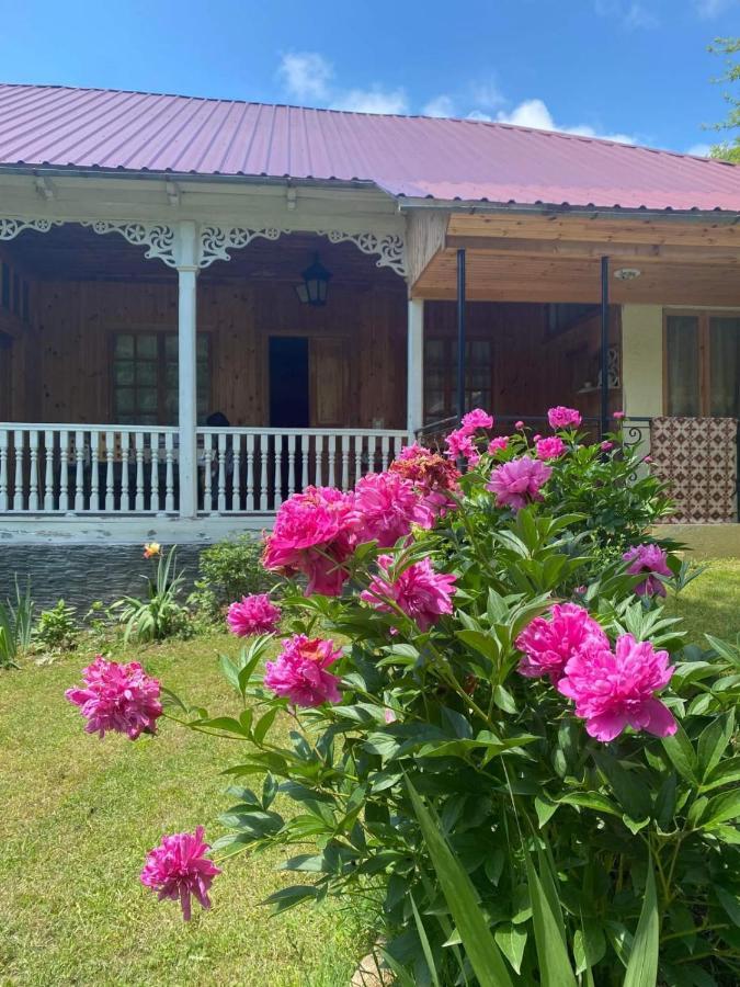 Guest House Lailashi Surmushi 外观 照片