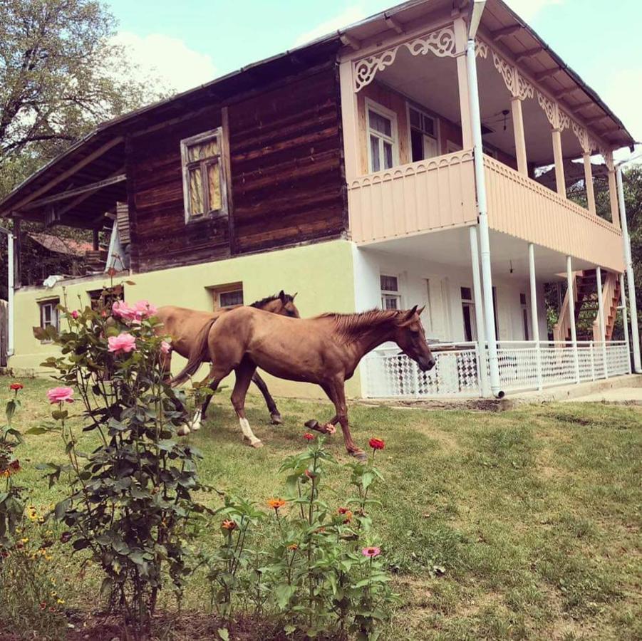 Guest House Lailashi Surmushi 外观 照片